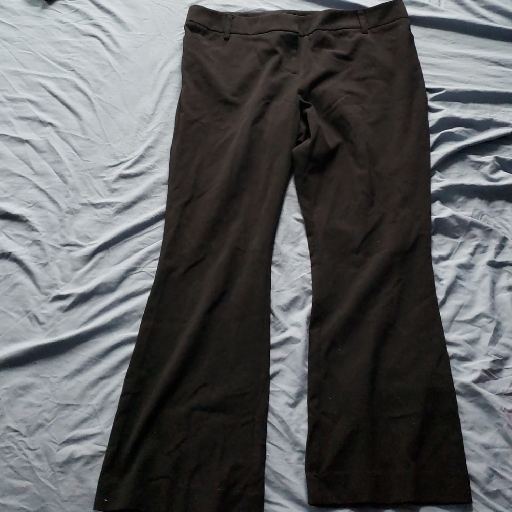 Dress Pants